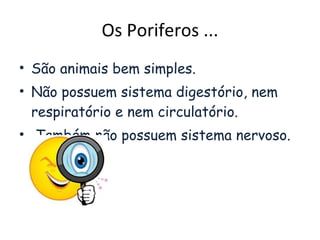 Os Poriferos ... São animais bem simples. Não possuem sistema digestório, nem respiratório e nem circulatório. Também não possuem sistema nervoso. 