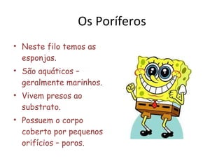 Os Poríferos Neste filo temos as esponjas. São aquáticos – geralmente marinhos. Vivem presos ao substrato.  Possuem o corpo coberto por pequenos orifícios – poros. 
