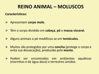 REINO ANIMAL – MOLUSCOS
Características:
 Apresentam corpo mole.
 Têm o corpo dividido em cabeça, pé e massa visceral.
 Alguns animais o pé modificou-se em tentáculos.
 Muitos são protegidos por uma concha (protege o corpo e
evita sua dessecação), produzida pelo manto.
 Podem ser encontrados em ambientes aquáticos
(marinhos e de água doce) e terrestres úmidos.
 