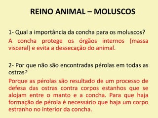REINO ANIMAL – MOLUSCOS
1- Qual a importância da concha para os moluscos?
A concha protege os órgãos internos (massa
visceral) e evita a dessecação do animal.
2- Por que não são encontradas pérolas em todas as
ostras?
Porque as pérolas são resultado de um processo de
defesa das ostras contra corpos estanhos que se
alojam entre o manto e a concha. Para que haja
formação de pérola é necessário que haja um corpo
estranho no interior da concha.
 