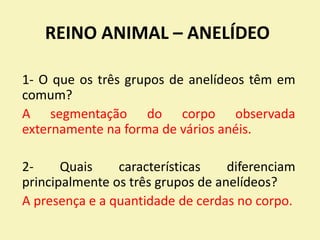 REINO ANIMAL – ANELÍDEO
1- O que os três grupos de anelídeos têm em
comum?
A segmentação do corpo observada
externamente na forma de vários anéis.
2- Quais características diferenciam
principalmente os três grupos de anelídeos?
A presença e a quantidade de cerdas no corpo.
 