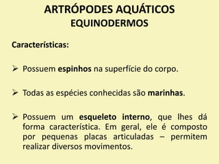 Características:
 Possuem espinhos na superfície do corpo.
 Todas as espécies conhecidas são marinhas.
 Possuem um esqueleto interno, que lhes dá
forma característica. Em geral, ele é composto
por pequenas placas articuladas – permitem
realizar diversos movimentos.
ARTRÓPODES AQUÁTICOS
EQUINODERMOS
 