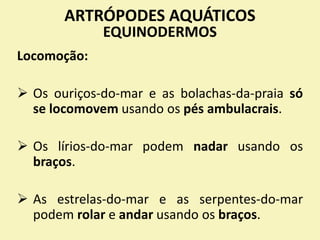 ARTRÓPODES AQUÁTICOS
EQUINODERMOS
Locomoção:
 Os ouriços-do-mar e as bolachas-da-praia só
se locomovem usando os pés ambulacrais.
 Os lírios-do-mar podem nadar usando os
braços.
 As estrelas-do-mar e as serpentes-do-mar
podem rolar e andar usando os braços.
 