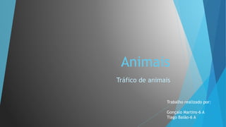 Animais
Tráfico de animais
Trabalho realizado por:
Gonçalo Martins-6 A
Tiago Baião-6 A
 