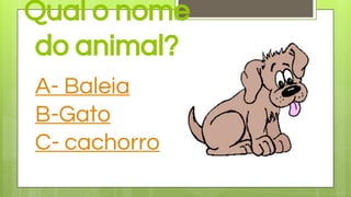 Qual o nome
do animal?
A- Baleia
B-Gato
C- cachorro
 