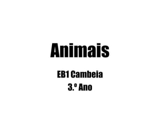 Animais
EB1 Cambeia
3.º Ano
 