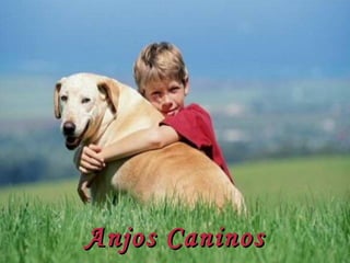 Anjos Caninos 