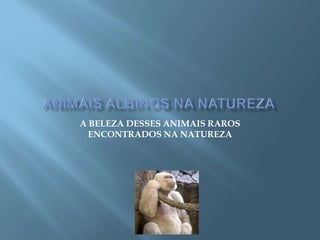 A BELEZA DESSES ANIMAIS RAROS
ENCONTRADOS NA NATUREZA
 