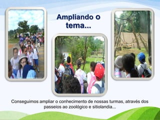 Ampliando o

tema...

Conseguimos ampliar o conhecimento de nossas turmas, através dos
passeios ao zoológico e sitiolandia...

 