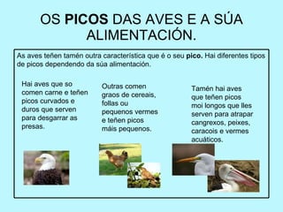 OS  PICOS  DAS AVES E A SÚA ALIMENTACIÓN. Hai aves que so comen carne e teñen picos curvados e duros que serven para desgarrar as presas. Outras comen graos de cereais, follas ou pequenos vermes e teñen picos máis pequenos. Tamén hai aves que teñen picos moi longos que lles serven para atrapar cangrexos, peixes, caracois e vermes acuáticos. As aves teñen tamén outra característica que é o seu  pico.  Hai diferentes tipos de picos dependendo da súa alimentación.  