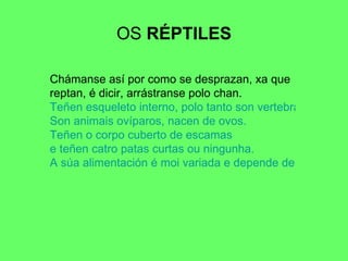 OS  RÉPTILES Chámanse así por como se desprazan, xa que reptan, é dicir, arrástranse polo chan. Teñen esqueleto interno, polo tanto son vertebrados. Son animais ovíparos, nacen de ovos. Teñen o corpo cuberto de escamas  e teñen catro patas curtas ou ningunha. A súa alimentación é moi variada e depende de cada réptil en concreto. 