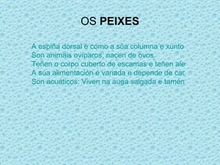 OS  PEIXES A espiña dorsal é como a súa columna e xunto co resto das espiñas forman o seu esqueleto. Son animais ovíparos, nacen de ovos. Teñen o corpo cuberto de escamas e teñen aletas. A súa alimentación é variada e depende de cada especie de peixes. Son acuáticos: Viven na auga salgada e tamén na auga doce. 