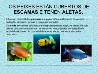 OS PEIXES ESTÁN CUBERTOS DE  ESCAMAS  E TEÑEN  ALETAS.   A función principal das  escamas  é a protección e o illamento dos peixes  e poden ter tamaños, formas e cores moi variadas. As  aletas  sérvenlles para nadar e desprazarse pola auga. As aletas da cola (aletas caudales) impulsanos; as aletas do lombo (aletas dorsais) dánlle estabilidade; tamén lle dan estabilidade as aletas que ten a altura das branquias. 