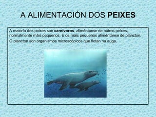 A ALIMENTACIÓN DOS  PEIXES A maioría dos peixes son  carnívoros , aliméntanse de outros peixes, normalmente máis pequenos. E os máis pequenos aliméntanse de plancton.  O plancton son organismos microscópicos que flotan na auga. 