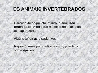 OS ANIMAIS  INVERTEBRADOS Carecen de esqueleto interno, é dicir,  non teñen ósos . Aínda que moitos teñen cunchas ou caparazóns. Algúns teñen  ás  e poden voar. Reprodúcense por medio de ovos, polo tanto son  ovíparos .  