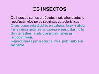 OS  INSECTOS Os insectos son os artrópodos máis abundantes e recoñecémolos polas seguintes características: O seu corpo está dividido en cabeza, tórax e abdomen. Teñen dúas antenas na cabeza e seis patas no tórax.  Son terrestres, aínda que algúns teñen  ás  e poden voar. Reprodúcense por medio de ovos, polo tanto son  ovíparos .  
