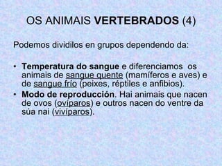 OS ANIMAIS  VERTEBRADOS  (4) Podemos dividilos en grupos dependendo da: Temperatura do sangue  e diferenciamos  os animais de  sangue quente  (mamíferos e aves) e de  sangue frío  (peixes, réptiles e anfibios). Modo de reproducción . Hai animais que nacen de ovos ( ovíparos ) e outros nacen do ventre da súa nai ( vivíparos ). 