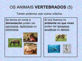OS ANIMAIS  VERTEBRADOS  (5) Tamén podemos usar outros criterios: Se temos en conta a  alimentación  poden ser  carnívoros ,  herbívoros  ou  omnívoros . Si nos fixamos no  ambiente no que viven  poden ser  terrestres ,  acuáticos  ou  aéreos . 