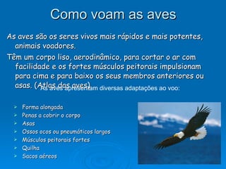 Como voam as aves As aves são os seres vivos mais rápidos e mais potentes, animais voadores. Têm um corpo liso, aerodinâmico, para cortar o ar com facilidade e os fortes músculos peitorais impulsionam para cima e para baixo os seus membros anteriores ou asas. (Atlas das aves) As aves apresentam diversas adaptações ao voo: Forma alongada Penas a cobrir o corpo Asas Ossos ocos ou pneumáticos largos Músculos peitorais fortes Quilha Sacos aéreos 