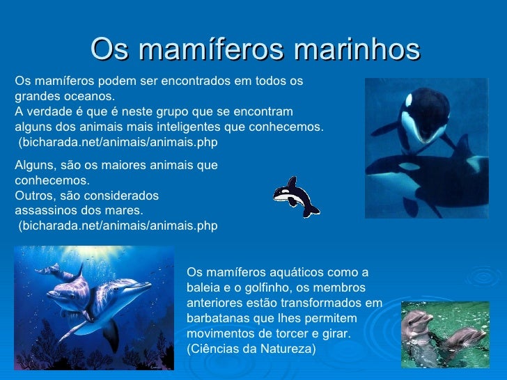 Resultado de imagem para caractéristicas dos mamíferos aquaticos