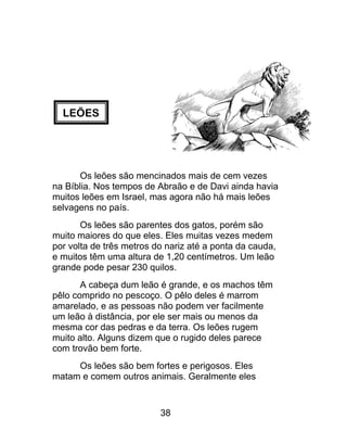 LEÕES
Os leões são mencinados mais de cem vezes
na Bíblia. Nos tempos de Abraão e de Davi ainda havia
muitos leões em Israel, mas agora não há mais leões
selvagens no país.
Os leões são parentes dos gatos, porém são
muito maiores do que eles. Eles muitas vezes medem
por volta de três metros do nariz até a ponta da cauda,
e muitos têm uma altura de 1,20 centímetros. Um leão
grande pode pesar 230 quilos.
A cabeça dum leão é grande, e os machos têm
pêlo comprido no pescoço. O pêlo deles é marrom
amarelado, e as pessoas não podem ver facilmente
um leão à distância, por ele ser mais ou menos da
mesma cor das pedras e da terra. Os leões rugem
muito alto. Alguns dizem que o rugido deles parece
com trovão bem forte.
Os leões são bem fortes e perigosos. Eles
matam e comem outros animais. Geralmente eles
38
 