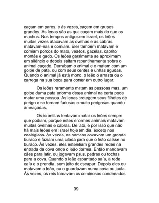 caçam em pares, e às vezes, caçam em grupos
grandes. As leoas são as que caçam mais do que os
machos. Nos tempos antigos em Israel, os leões
muitas vezes atacavam as ovelhas e as cabras,
matavam-nas e comiam. Eles também matavam e
comiam porcos do mato, veados, gazelas, cabrito
montês e gado. Os leões geralmente se aproximam
em silêncio e depois saltam repentinamente sobre o
animal caçado. Derrubam o animal e o matam com um
golpe de pata, ou com seus dentes e unhas agudas.
Quando o animal já está morto, o leão o arrasta ou o
carrega na sua boca para comer em outro lugar.
Os leões raramente matam as pessoas mas, um
golpe duma pata enorme desse animal na certa pode
matar uma pessoa. As leoas protegem seus filhotes de
perigo e se tornam furiosas e muito perigosas quando
ameaçadas.
Os israelitas tentavam matar os leões sempre
que podiam, porque estes enormes animais matavam
muitas ovelhas e cabras. De fato, é por isso que não
há mais leões em Israel hoje em dia, exceto nos
zoológicos. Às vezes, os homens cavavam um grande
buraco e faziam uma cilada para que o leão caísse no
buraco. Às vezes, eles estendiam grandes redes na
entrada da cova onde o leão dormia. Então mandavam
cães para latir, ou jogavam paus, pedras ou tochas
para a cova. Quando o leão espantado saía, a rede
caía e o prendia, sem jeito de escapar. Depois eles ou
matavam o leão, ou o guardavam numa cova ou jaula.
Às vezes, os reis tomavam os criminosos condenados
39
 