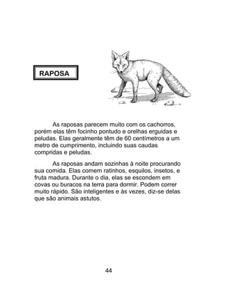 RAPOSA
As raposas parecem muito com os cachorros,
porém elas têm focinho pontudo e orelhas erguidas e
peludas. Elas geralmente têm de 60 centímetros a um
metro de cumprimento, incluindo suas caudas
compridas e peludas.
As raposas andam sozinhas à noite procurando
sua comida. Elas comem ratinhos, esquilos, insetos, e
fruta madura. Durante o dia, elas se escondem em
covas ou buracos na terra para dormir. Podem correr
muito rápido. São inteligentes e às vezes, diz-se delas
que são animais astutos.
44
 