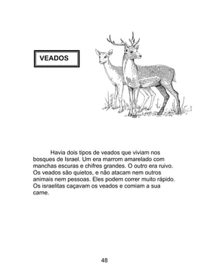 VEADOS
Havia dois tipos de veados que viviam nos
bosques de Israel. Um era marrom amarelado com
manchas escuras e chifres grandes. O outro era ruivo.
Os veados são quietos, e não atacam nem outros
animais nem pessoas. Eles podem correr muito rápido.
Os israelitas caçavam os veados e comiam a sua
carne.
48
 