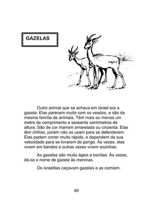 GAZELAS
Outro animal que se achava em Israel era a
gazela. Elas parecem muito com os veados, e são da
mesma família de animais. Têm mais ou menos um
metro de comprimento e sessenta centímetros de
altura. São de cor marrom amarelada ou cinzenta. Elas
têm chifres, porém não as usam para se defenderem.
Elas podem correr muito rápido, e dependem da sua
velocidade para se livrarem do perigo. Às vezes, elas
vivem em bandos e outras vezes vivem sozinhas.
As gazelas são muito ágeis e bonitas. Às vezes,
dá-se o nome de gazela às meninas.
Os israelitas caçavam gazelas e as comiam.
49
 