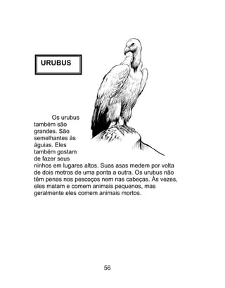 URUBUS
Os urubus
também são
grandes. São
semelhantes às
águias. Eles
também gostam
de fazer seus
ninhos em lugares altos. Suas asas medem por volta
de dois metros de uma ponta a outra. Os urubus não
têm penas nos pescoços nem nas cabeças. Às vezes,
eles matam e comem animais pequenos, mas
geralmente eles comem animais mortos.
56
 