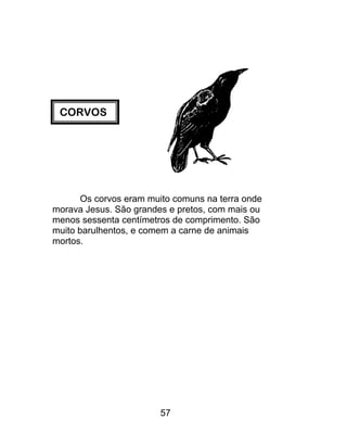 CORVOS
Os corvos eram muito comuns na terra onde
morava Jesus. São grandes e pretos, com mais ou
menos sessenta centímetros de comprimento. São
muito barulhentos, e comem a carne de animais
mortos.
57
 