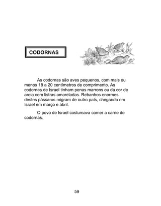 CODORNAS
As codornas são aves pequenos, com mais ou
menos 18 a 20 centímetros de comprimento. As
codornas de Israel tinham penas marrons ou da cor de
areia com listras amareladas. Rebanhos enormes
destes pássaros migram de outro país, chegando em
Israel em março e abril.
O povo de Israel costumava comer a carne de
codornas.
59
 