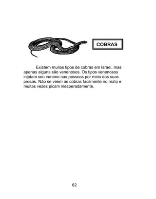 COBRAS
Existem muitos tipos de cobras em Israel, mas
apenas alguns são venenosos. Os tipos venenosos
injetam seu veneno nas pessoas por meio das suas
presas. Não se veem as cobras facilmente no mato e
muitas vezes picam inesperadamente.
62
 