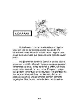 CIGARRAS
Outro insecto comum em Israel era a cigarra.
Ela é um tipo de gafanhoto grande que anda em
bandos enormes. O vento as leva de um lugar a outro
e são tão numerosas que parecem uma grande nuvem
preta.
Os gafanhotos têm seis pernas e quatro asas e
fazem um zumbido. Quando descem do céu e pousam,
comem toda a erva, todas as folhas e enfim, tudo que
se encontra plantado ao seu redor. Em pouco tempo,
elas podem comer tudo que o lavrador tem plantado na
sua roça e todas as folhas das árvores, deixando
apenas os galhos. Os gafanhotos comem somente
vegetação. Elas faziam parte da dieta dos israelitas.
64
 