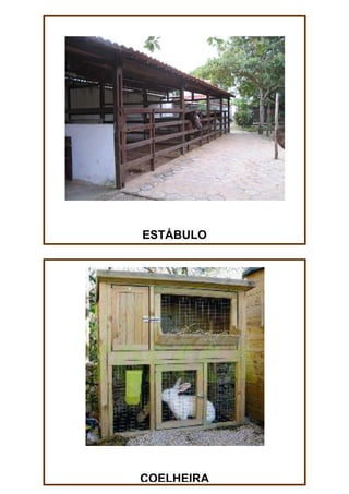 ESTÁBULO

COELHEIRA

 