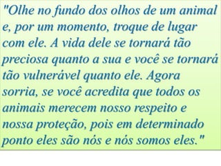 "Olhe no fundo dos olhos de um animal
e, por um momento, troque de lugar
com ele. A vida dele se tornará tão
preciosa quanto a sua e você se tornará
tão vulnerável quanto ele. Agora
sorria, se você acredita que todos os
animais merecem nosso respeito e
nossa proteção, pois em determinado
ponto eles são nós e nós somos eles."
 