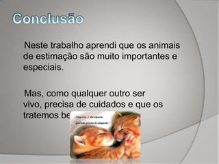 Neste trabalho aprendi que os animais
de estimação são muito importantes e
especiais.

Mas, como qualquer outro ser
vivo, precisa de cuidados e que os
tratemos bem.
 