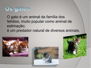 O gato é um animal da família dos
felídios, muito popular como animal de
estimação;
é um predador natural de diversos animais.
 