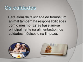 Para além da felicidade de termos um
animal também há responsabilidades
com o mesmo. Estas baseiam-se
principalmente na alimentação, nos
cuidados médicos e na limpeza.
 