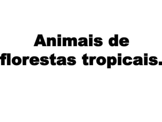 Animais de
florestas tropicais.
 