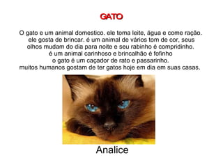 GATO O gato e um animal domestico. ele toma leite, água e come ração.  ele gosta de brincar. é um animal de vários tom de cor, seus olhos mudam do dia para noite e seu rabinho é compridinho. é um animal carinhoso e brincalhão é fofinho o gato é um caçador de rato e passarinho. muitos humanos gostam de ter gatos hoje em dia em suas casas.  Analice 