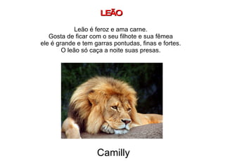 LEÃO Leão é feroz e ama carne. Gosta de ficar com o seu filhote e sua fêmea ele é grande e tem garras pontudas, finas e fortes. O leão só caça a noite suas presas. Camilly 