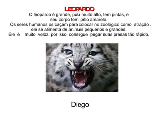 LEOPARDO O leopardo é grande, pula muito alto, tem pintas, e seu corpo tem  pêlo amarelo.   Os seres humanos os caçam para colocar no zoológico como  atração . ele se alimenta de animais pequenos e grandes. Ele  é  muito  veloz  por isso  consegue  pegar suas presas tão rápido. Diego 