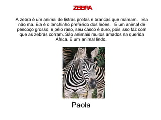 ZEBRA A zebra é um animal de listras pretas e brancas que mamam.  Ela não ma. Ela é o lanchinho preferido dos leões.  É um animal de pescoço grosso, e pêlo raso, seu casco é duro, pois isso faz com que as zebras corram. São animais muitos amados na querida África. É um animal lindo.  Paola 