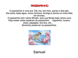 PASSARINHO   O passarinho é uma ave. Ele voa, tem bico, penas e dois pés. Ele canta, bebe água, come minhoca, formiga e dorme no ninho feito em árvores.  O passarinho tem vários filhotes  pois sua fêmea bota vários ovos. Hoje existe varias espécies de passarinho:  bigodinho, tucano, arara, papagaio, tico-tico, etc...  Devemos preservar os passarinhos. Samuel 