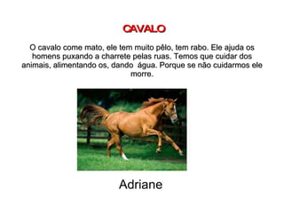 CAVALO   O cavalo come mato, ele tem muito pêlo, tem rabo. Ele ajuda os homens puxando a charrete pelas ruas. Temos que cuidar dos animais, alimentando os, dando  água. Porque se não cuidarmos ele morre. Adriane 