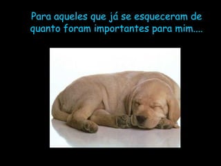Para aqueles que já se esqueceram de quanto foram importantes para mim.... 