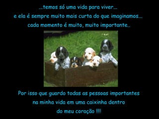 ...temos só uma vida para viver...  e ela é sempre muito mais curta do que imaginamos...  cada momento é muito, muito importante.. Por isso que guardo todas as pessoas importantes na minha vida em uma caixinha dentro  do meu coração !!!! 