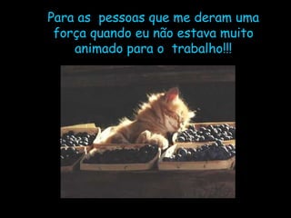 Para as  pessoas que me deram uma força quando eu não estava muito animado para o  trabalho!!! 