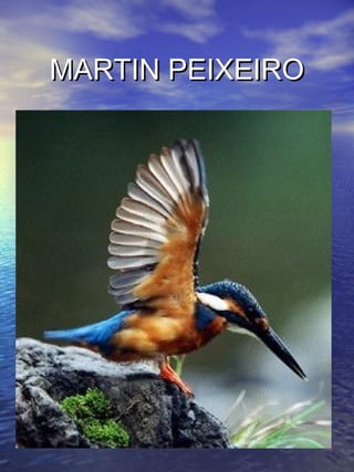 MMAARRTTIINN PPEEIIXXEEIIRROO 
 